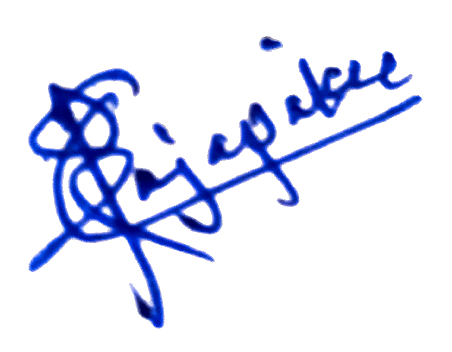 Sanath Rajapakse